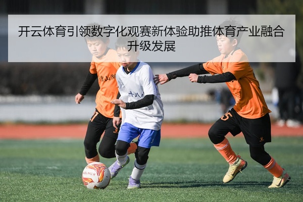 img_1777453298907_88_1_457.jpg